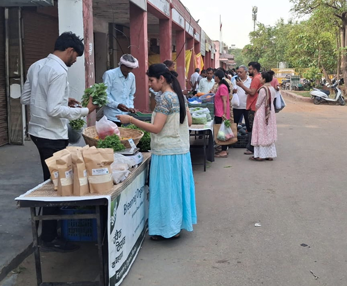 About Us