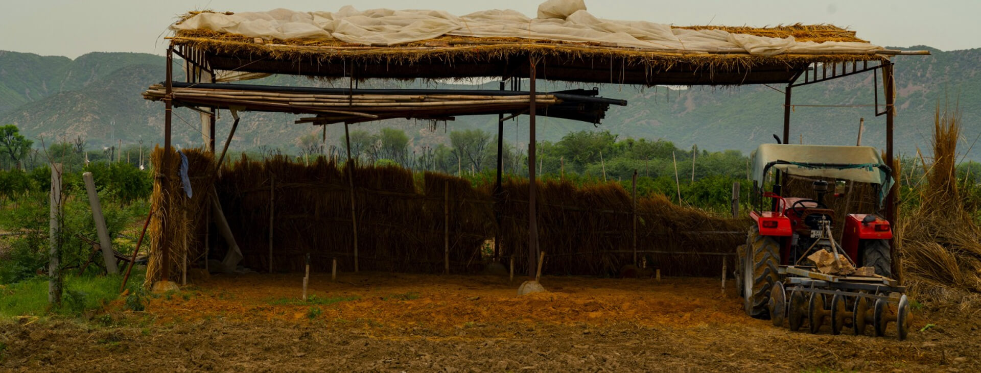 banner